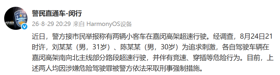 两男子嘉闵高架违法飙车，后续来了！