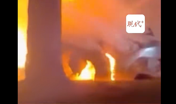 全球最大每周车展创始人车祸身亡，年仅27岁