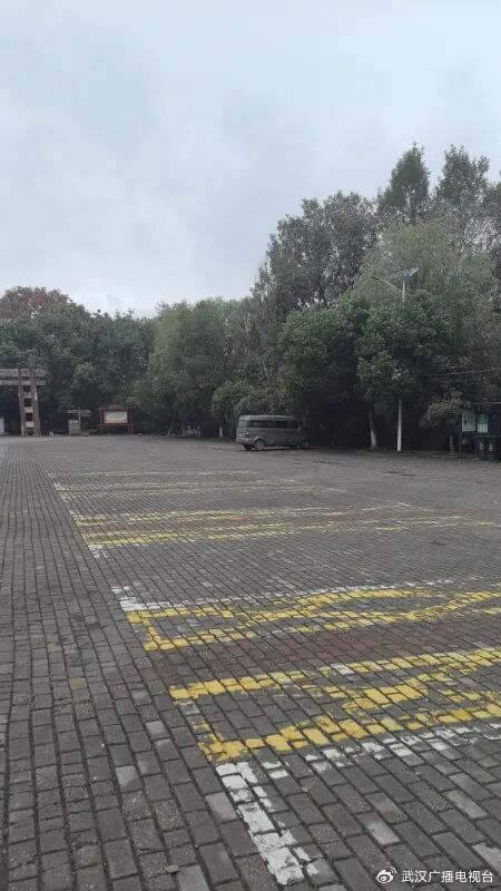 武汉一区官宣：国庆停车免费！机关大院、公共停车场都开放